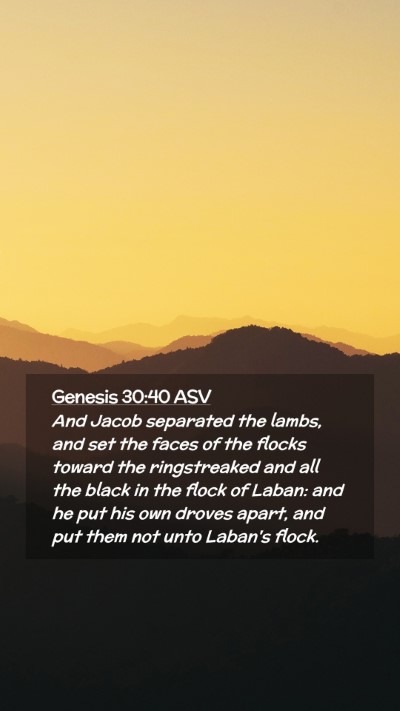 Picture 02 - Genesis 30:40 ASV Mobile Phone Wallpaper - And Jacob separated the lambs, and set the faces - Mobile Bible Verse Wallpaper