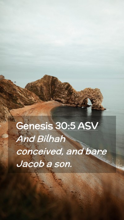 Picture 02 - Genesis 30:5 ASV Mobile Phone Wallpaper - And Bilhah conceived, and bare Jacob a - Mobile Bible Verse Wallpaper