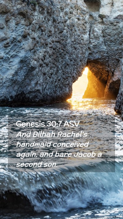 Picture 02 - Genesis 30:7 ASV Mobile Phone Wallpaper - And Bilhah Rachel's handmaid conceived again, and - Mobile Bible Verse Wallpaper