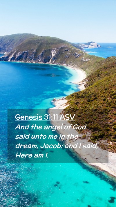 Picture 02 - Genesis 31:11 ASV Mobile Phone Wallpaper - And the angel of God said unto me in the dream, - Mobile Bible Verse Wallpaper