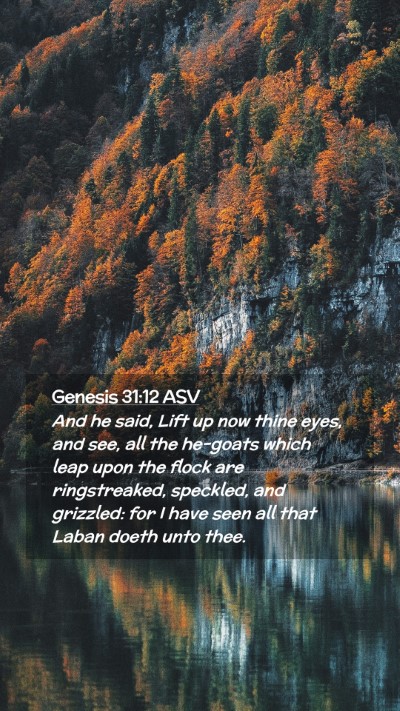 Picture 02 - Genesis 31:12 ASV Mobile Phone Wallpaper - And he said, Lift up now thine eyes, and see, all - Mobile Bible Verse Wallpaper