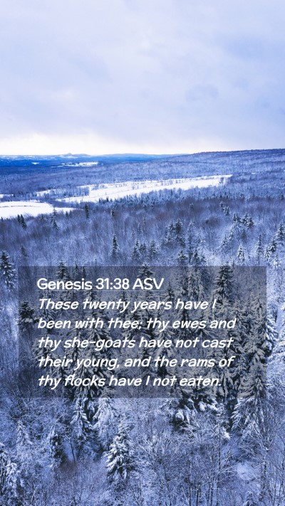 Picture 02 - Genesis 31:38 ASV Mobile Phone Wallpaper - These twenty years have I been with thee; thy - Mobile Bible Verse Wallpaper