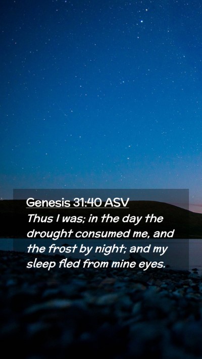 Picture 02 - Genesis 31:40 ASV Mobile Phone Wallpaper - Thus I was; in the day the drought consumed me, - Mobile Bible Verse Wallpaper
