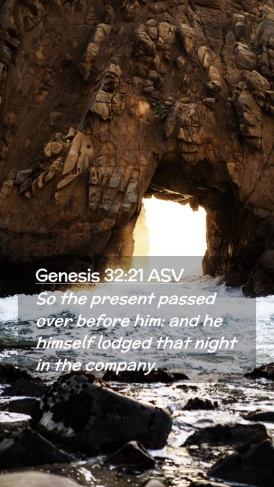 Picture 02 - Genesis 32:21 ASV Mobile Phone Wallpaper - So the present passed over before him: and he - Mobile Bible Verse Wallpaper