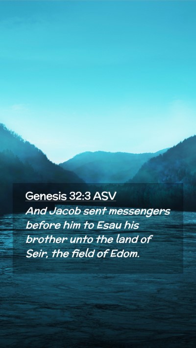 Picture 02 - Genesis 32:3 ASV Mobile Phone Wallpaper - And Jacob sent messengers before him to Esau his - Mobile Bible Verse Wallpaper