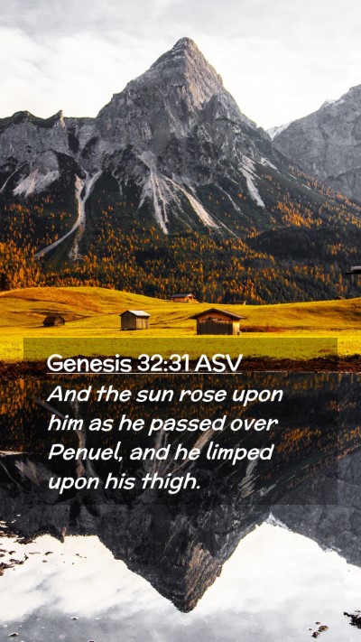 Picture 02 - Genesis 32:31 ASV Mobile Phone Wallpaper - And the sun rose upon him as he passed over - Mobile Bible Verse Wallpaper