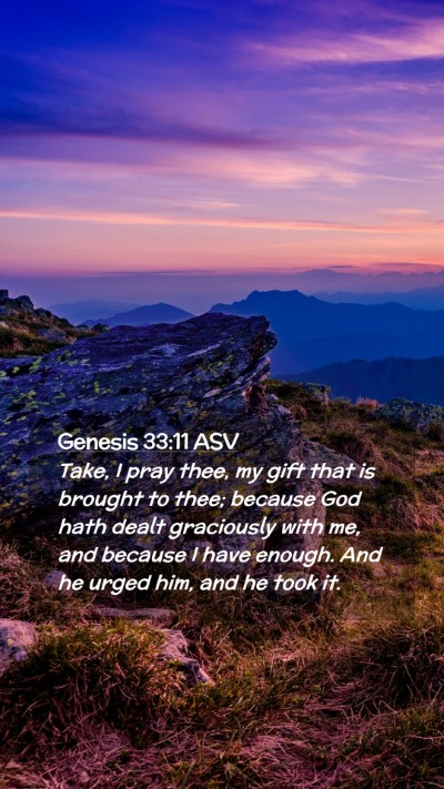 Picture 02 - Genesis 33:11 ASV Mobile Phone Wallpaper - Take, I pray thee, my gift that is brought to - Mobile Bible Verse Wallpaper