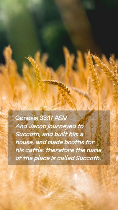 Picture 02 - Genesis 33:17 ASV Mobile Phone Wallpaper - And Jacob journeyed to Succoth, and built him a - Mobile Bible Verse Wallpaper