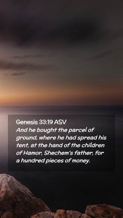 Picture 02 - Genesis 33:19 ASV Mobile Phone Wallpaper - And he bought the parcel of ground, where he had - Mobile Bible Verse Wallpaper