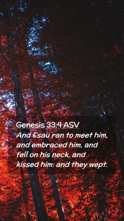 Picture 02 - Genesis 33:4 ASV Mobile Phone Wallpaper - And Esau ran to meet him, and embraced him, and - Mobile Bible Verse Wallpaper