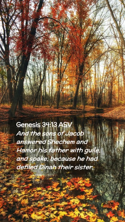 Picture 02 - Genesis 34:13 ASV Mobile Phone Wallpaper - And the sons of Jacob answered Shechem and Hamor - Mobile Bible Verse Wallpaper