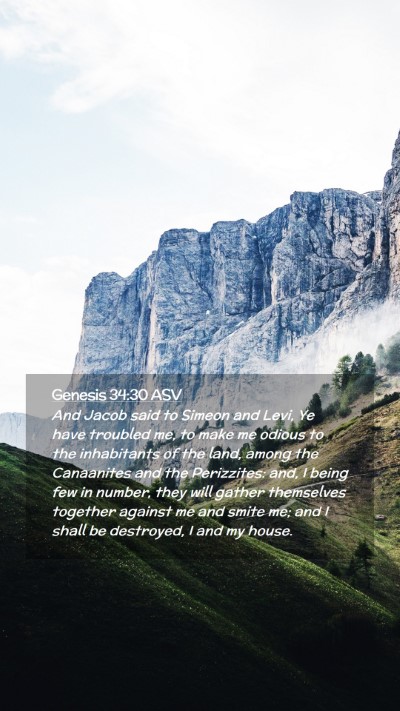 Picture 02 - Genesis 34:30 ASV Mobile Phone Wallpaper - And Jacob said to Simeon and Levi, Ye have - Mobile Bible Verse Wallpaper