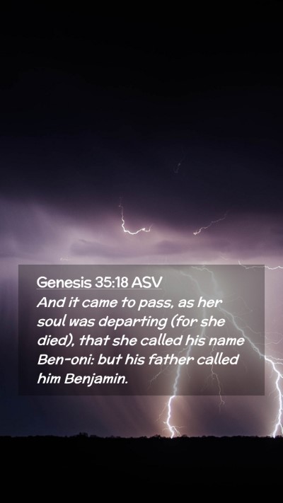 Picture 02 - Genesis 35:18 ASV Mobile Phone Wallpaper - And it came to pass, as her soul was departing - Mobile Bible Verse Wallpaper