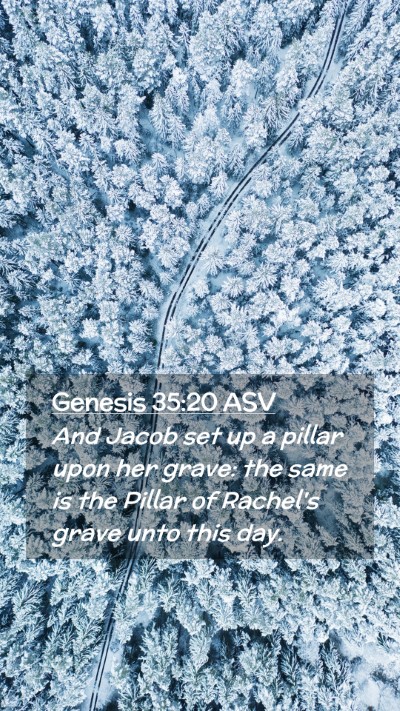 Picture 02 - Genesis 35:20 ASV Mobile Phone Wallpaper - And Jacob set up a pillar upon her grave: the - Mobile Bible Verse Wallpaper