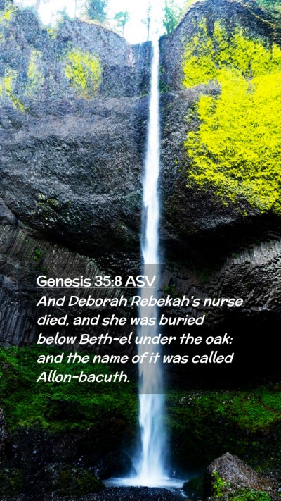 Picture 02 - Genesis 35:8 ASV Mobile Phone Wallpaper - And Deborah Rebekah's nurse died, and she was - Mobile Bible Verse Wallpaper
