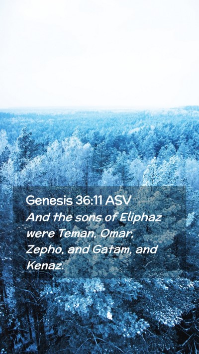 Picture 02 - Genesis 36:11 ASV Mobile Phone Wallpaper - And the sons of Eliphaz were Teman, Omar, Zepho, - Mobile Bible Verse Wallpaper