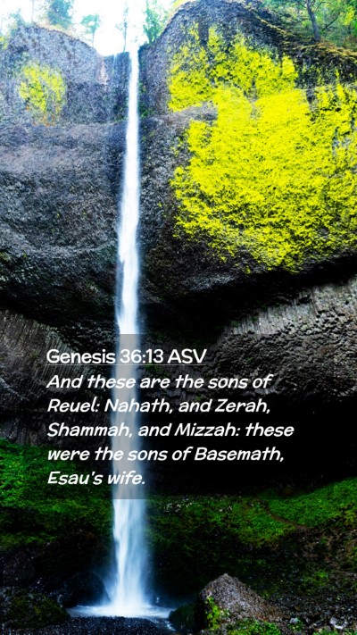 Picture 02 - Genesis 36:13 ASV Mobile Phone Wallpaper - And these are the sons of Reuel: Nahath, and - Mobile Bible Verse Wallpaper