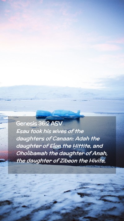 Picture 02 - Genesis 36:2 ASV Mobile Phone Wallpaper - Esau took his wives of the daughters of Canaan: - Mobile Bible Verse Wallpaper