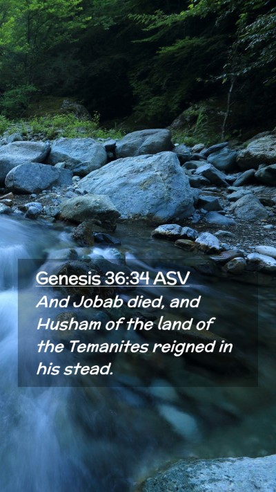 Picture 02 - Genesis 36:34 ASV Mobile Phone Wallpaper - And Jobab died, and Husham of the land of the - Mobile Bible Verse Wallpaper