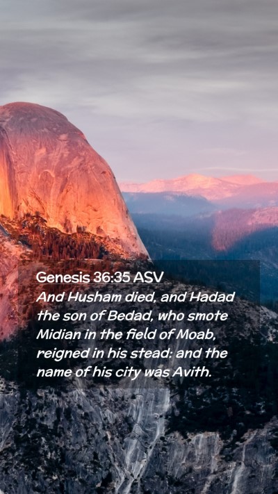 Picture 02 - Genesis 36:35 ASV Mobile Phone Wallpaper - And Husham died, and Hadad the son of Bedad, who - Mobile Bible Verse Wallpaper