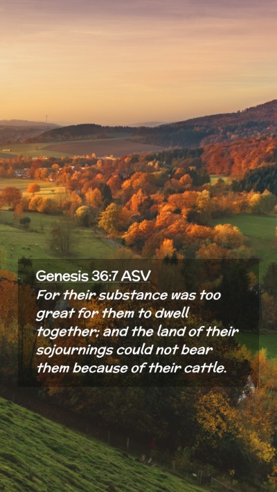 Picture 02 - Genesis 36:7 ASV Mobile Phone Wallpaper - For their substance was too great for them to - Mobile Bible Verse Wallpaper