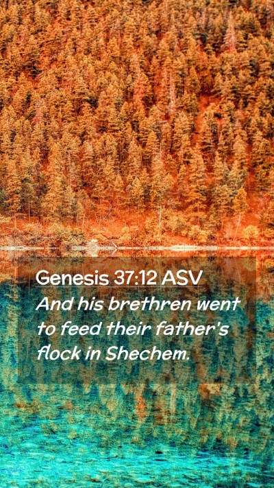 Picture 02 - Genesis 37:12 ASV Mobile Phone Wallpaper - And his brethren went to feed their father's - Mobile Bible Verse Wallpaper