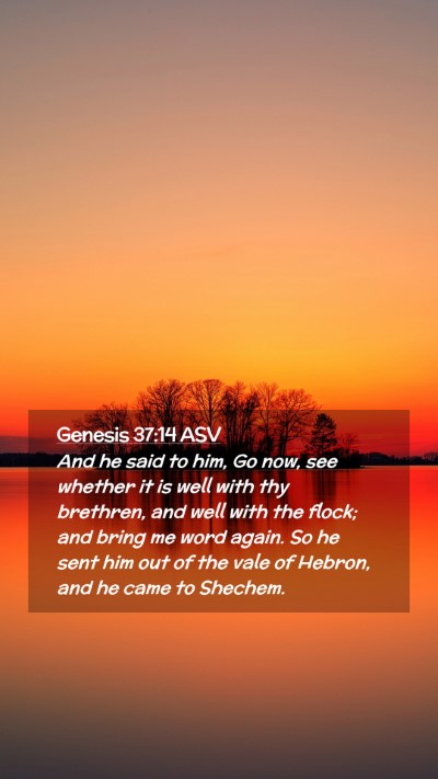 Picture 02 - Genesis 37:14 ASV Mobile Phone Wallpaper - And he said to him, Go now, see whether it is - Mobile Bible Verse Wallpaper