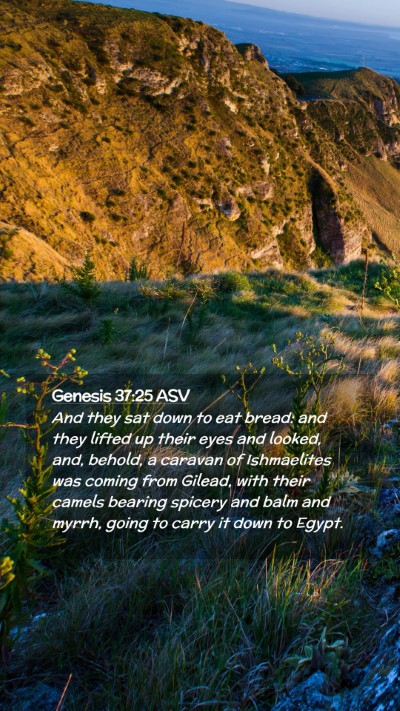 Picture 02 - Genesis 37:25 ASV Mobile Phone Wallpaper - And they sat down to eat bread: and they lifted - Mobile Bible Verse Wallpaper