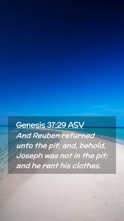 Picture 02 - Genesis 37:29 ASV Mobile Phone Wallpaper - And Reuben returned unto the pit; and, behold, - Mobile Bible Verse Wallpaper