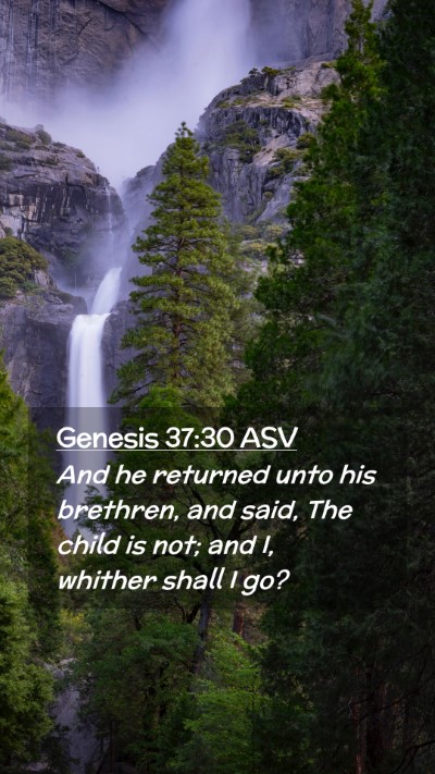 Picture 02 - Genesis 37:30 ASV Mobile Phone Wallpaper - And he returned unto his brethren, and said, The - Mobile Bible Verse Wallpaper