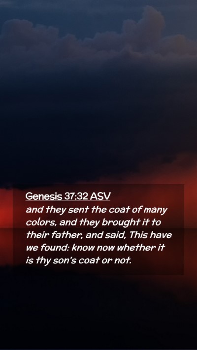 Picture 02 - Genesis 37:32 ASV Mobile Phone Wallpaper - and they sent the coat of many colors, and they - Mobile Bible Verse Wallpaper