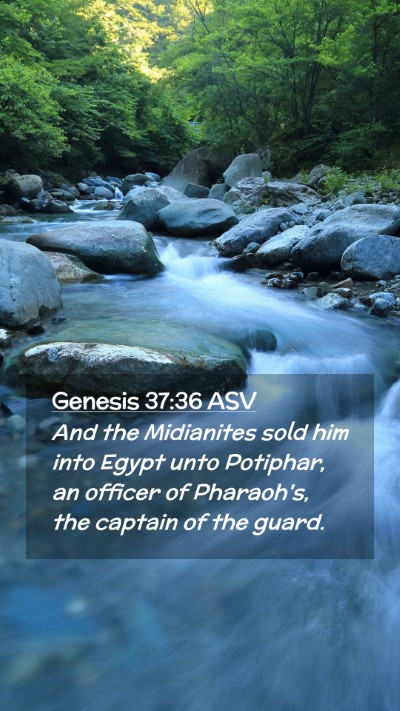 Picture 02 - Genesis 37:36 ASV Mobile Phone Wallpaper - And the Midianites sold him into Egypt unto - Mobile Bible Verse Wallpaper