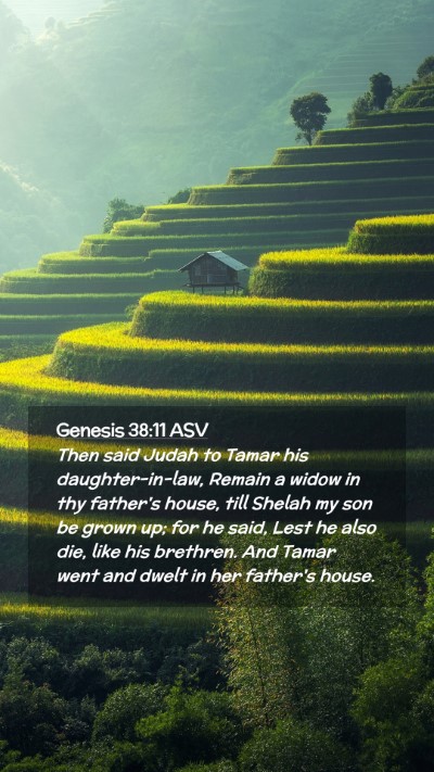 Picture 02 - Genesis 38:11 ASV Mobile Phone Wallpaper - Then said Judah to Tamar his daughter-in-law, - Mobile Bible Verse Wallpaper