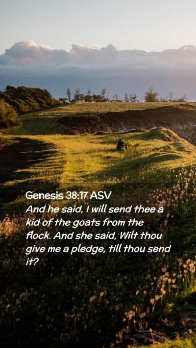 Picture 02 - Genesis 38:17 ASV Mobile Phone Wallpaper - And he said, I will send thee a kid of the goats - Mobile Bible Verse Wallpaper
