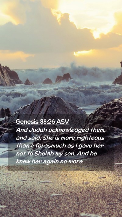 Picture 02 - Genesis 38:26 ASV Mobile Phone Wallpaper - And Judah acknowledged them, and said, She is - Mobile Bible Verse Wallpaper