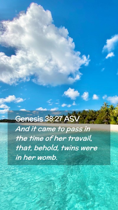 Picture 02 - Genesis 38:27 ASV Mobile Phone Wallpaper - And it came to pass in the time of her travail, - Mobile Bible Verse Wallpaper