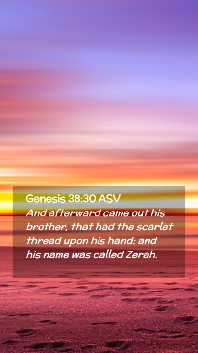 Picture 02 - Genesis 38:30 ASV Mobile Phone Wallpaper - And afterward came out his brother, that had the - Mobile Bible Verse Wallpaper