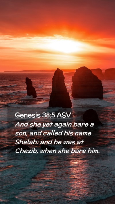 Picture 02 - Genesis 38:5 ASV Mobile Phone Wallpaper - And she yet again bare a son, and called his name - Mobile Bible Verse Wallpaper