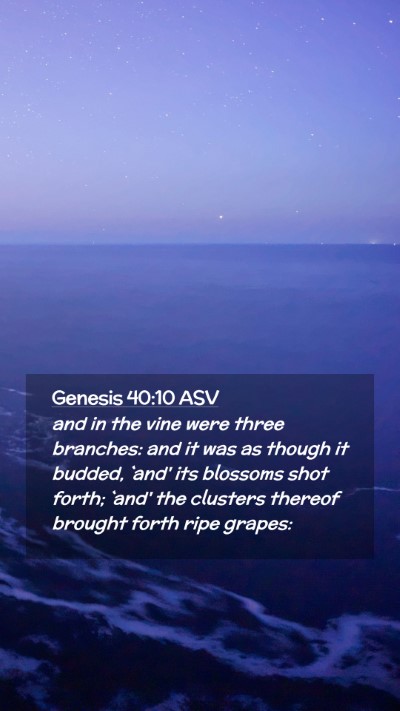Picture 02 - Genesis 40:10 ASV Mobile Phone Wallpaper - and in the vine were three branches: and it was - Mobile Bible Verse Wallpaper