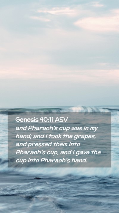 Picture 02 - Genesis 40:11 ASV Mobile Phone Wallpaper - and Pharaoh's cup was in my hand; and I took the - Mobile Bible Verse Wallpaper