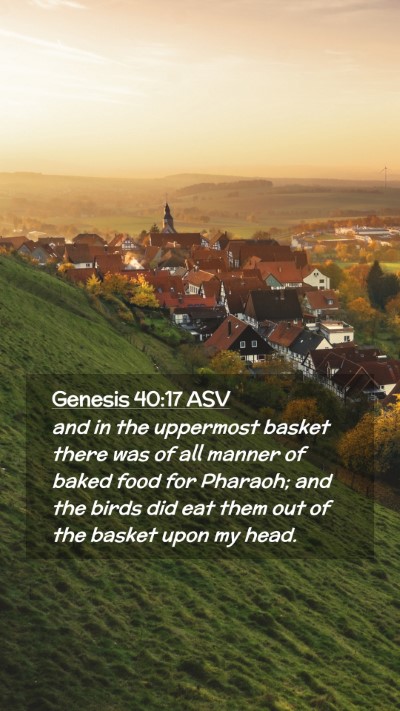 Picture 02 - Genesis 40:17 ASV Mobile Phone Wallpaper - and in the uppermost basket there was of all - Mobile Bible Verse Wallpaper