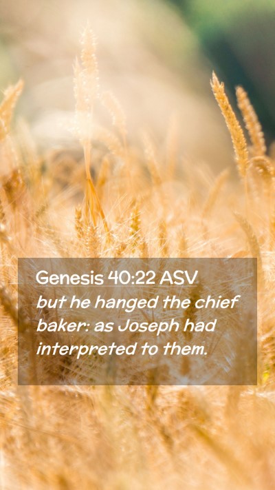 Picture 02 - Genesis 40:22 ASV Mobile Phone Wallpaper - but he hanged the chief baker: as Joseph had - Mobile Bible Verse Wallpaper