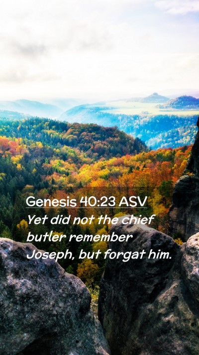 Picture 02 - Genesis 40:23 ASV Mobile Phone Wallpaper - Yet did not the chief butler remember Joseph, but - Mobile Bible Verse Wallpaper