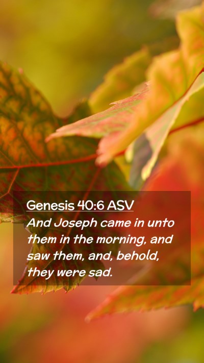 Picture 02 - Genesis 40:6 ASV Mobile Phone Wallpaper - And Joseph came in unto them in the morning, and - Mobile Bible Verse Wallpaper