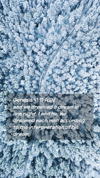 Picture 02 - Genesis 41:11 ASV Mobile Phone Wallpaper - and we dreamed a dream in one night, I and he; we - Mobile Bible Verse Wallpaper