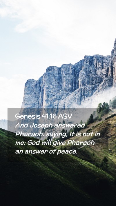 Picture 02 - Genesis 41:16 ASV Mobile Phone Wallpaper - And Joseph answered Pharaoh, saying, It is not in - Mobile Bible Verse Wallpaper