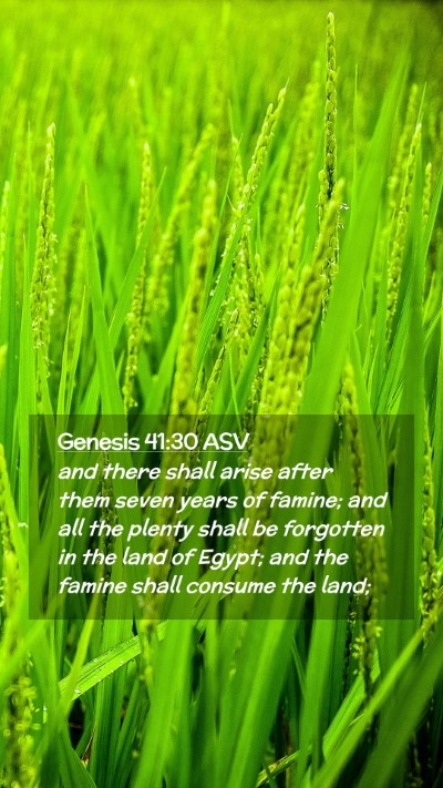 Picture 02 - Genesis 41:30 ASV Mobile Phone Wallpaper - and there shall arise after them seven years of - Mobile Bible Verse Wallpaper