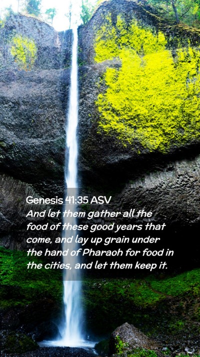 Picture 02 - Genesis 41:35 ASV Mobile Phone Wallpaper - And let them gather all the food of these good - Mobile Bible Verse Wallpaper