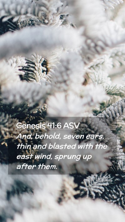Picture 02 - Genesis 41:6 ASV Mobile Phone Wallpaper - And, behold, seven ears, thin and blasted with - Mobile Bible Verse Wallpaper