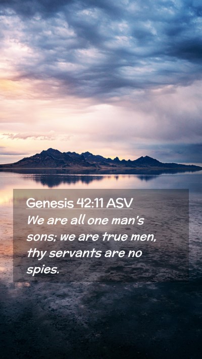 Picture 02 - Genesis 42:11 ASV Mobile Phone Wallpaper - We are all one man's sons; we are true men, thy - Mobile Bible Verse Wallpaper